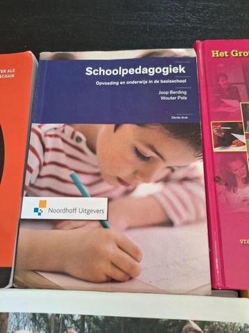 Joop Berding - Schoolpedagogiek beschikbaar voor biedingen