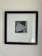 Vierkante lijsten, Antiek en Kunst, Kunst | Litho's en Zeefdrukken, Ophalen