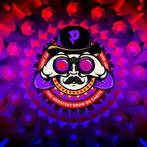 1x kaartje Paaspop 17 april, Tickets en Kaartjes, Eén persoon