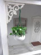 Mooie hangplant..Poppenhuis 1:12... (Foto nr E19 )*, Ophalen of Verzenden, Zo goed als nieuw, Poppenhuis