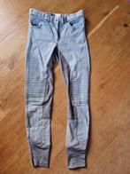 Paardrijbroek PK mt 40, Gebruikt, Dressuur, Ophalen of Verzenden, Dames