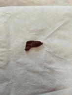 Choc gun, Ophalen of Verzenden