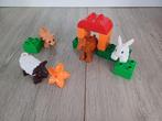 Lego duplo boerderij dieren 10522, Kinderen en Baby's, Speelgoed | Duplo en Lego, Complete set, Duplo, Gebruikt, Ophalen of Verzenden
