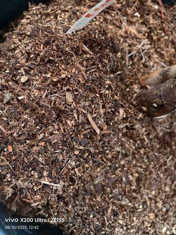 Ik zoek mulch minimaal 0mm tot 7mm  beschikbaar voor biedingen