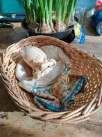 Oud stoffen popje in mandje, Ophalen of Verzenden