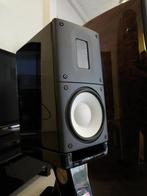 Raidho X-1 luidsprekers incl stands (prachtig dieptebeeld), Audio, Tv en Foto, Luidsprekers, Overige merken, Ophalen of Verzenden