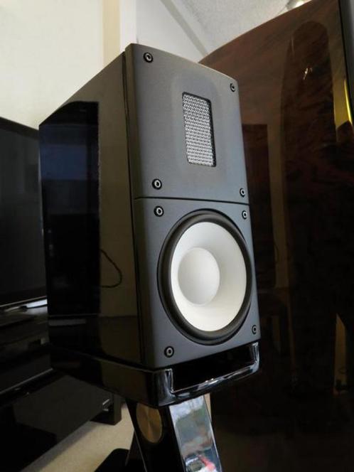 Raidho X-1 luidsprekers incl stands (prachtig dieptebeeld), Audio, Tv en Foto, Luidsprekers, Zo goed als nieuw, Front, Rear of Stereo speakers