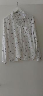 Zara Girls Blouse Maat 13/14, Ophalen of Verzenden, Zo goed als nieuw