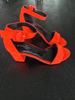 Nieuw dames schoenen maat 36, Nieuw, Ophalen of Verzenden, Sneakers of Gympen, Rood