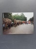 Circus / buitenopnamen American Circus/ Nijmegen 1997., Ophalen of Verzenden, Zo goed als nieuw