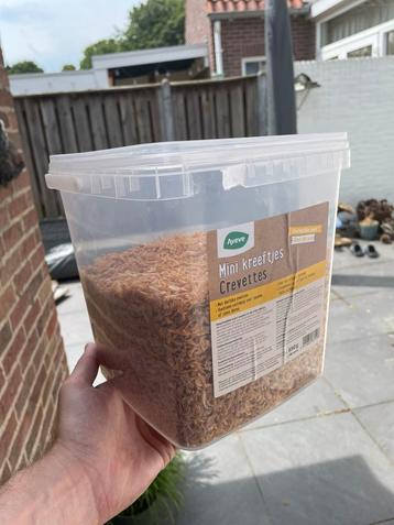 Mini kreeftjes in ruil voor… beschikbaar voor biedingen