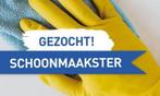 Schoonmaakster gezocht, Variabele uren, Overige niveaus, Starter, Overige vormen