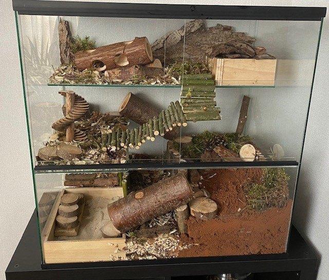 Gerbil terrarium 60x40x60 ingericht met hamsterscaping, Dieren en Toebehoren, Knaagdieren en Konijnen | Hokken en Kooien, Nieuw