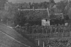 963436	Dodewaard	Hien Gld	Waalbundijk 1948	Nette Oude kaart, Verzamelen, Ansichtkaarten | Nederland, Ophalen of Verzenden, 1940 tot 1960