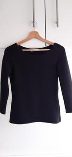 Vanilia top maat 36 te koop, Kleding | Dames, Tops, Vanilia, Zwart, Ophalen of Verzenden, Zo goed als nieuw