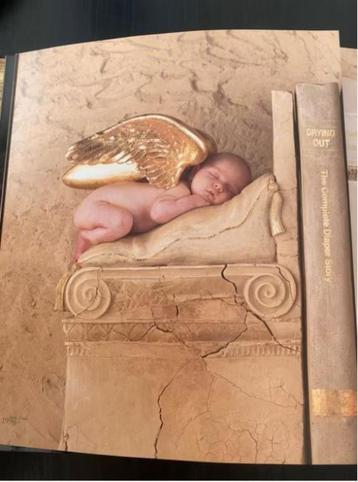 Welkom Anne Geddes Prachtige illustraties babyboek beschikbaar voor biedingen