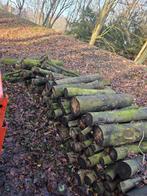 Esdoorn haardhout, Minder dan 3 m³, Ophalen, Overige houtsoorten, Stammen