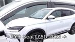 BYD zijwindschermen dark donker tbv oa Seal Dolphin Seal U, Ophalen of Verzenden, Nieuw
