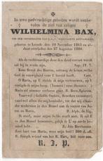 Wilhelmina Bax 1865 Leende + 1880 Leende, 14 jaar oud, Verzamelen, Bidprentjes en Rouwkaarten, Verzenden