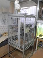 3 x kaketoes vogel kooi, Ophalen, Zo goed als nieuw, Metaal, Vogelkooi