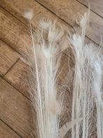 Pauwenveren vanaf 75 ct per stuk, Belle Vieille Brocante, Nieuw, Ophalen of Verzenden, Jolandamonsieurs@gmail.com