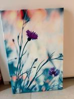 Schilderij canvas 40X60 gratis, Ophalen