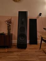 Thiel cs3.6, Audio, Tv en Foto, Luidsprekers, Zo goed als nieuw, 120 watt of meer, Front, Rear of Stereo speakers, Ophalen