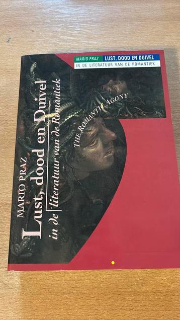 Lust, dood en duivel in de literatuur van de Romantiek. beschikbaar voor biedingen