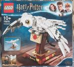 Lego Harry Potter 75979 Hedwig, Kinderen en Baby's, Speelgoed | Duplo en Lego, Ophalen of Verzenden, Zo goed als nieuw, Complete set