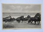 Ameland 1934 de reddingsboot met paarden komt terug Ameland, Verzenden, 1920 tot 1940, Gelopen, Waddeneilanden