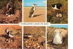 Ansichtkaart	Schouwse Westhoek	Vogels	6-luik, Verzenden, 1960 tot 1980, Gelopen, Zeeland