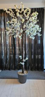 Kunst, Huis en Inrichting, Woonaccessoires | Kunstplanten en Kunstbloemen, Ophalen of Verzenden, Zo goed als nieuw, Binnen