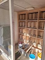 Mooi duiven hok met 24 Hermes broedbakken, Dieren en Toebehoren, Meerdere dieren, Postduif