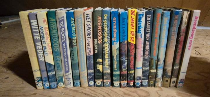 Arendsoog Boeken Serie, Boeken, Kinderboeken | Jeugd | onder 10 jaar, Gelezen, Fictie algemeen, Ophalen of Verzenden