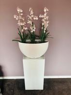 Hoogglans witte zuil met ovale bloempot / bloembak., Huis en Inrichting, Woonaccessoires | Zuilen en Pilaren, Ophalen, Gebruikt