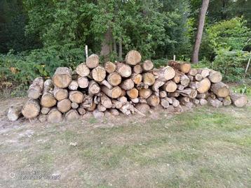 Eiken brandhout (droog) beschikbaar voor biedingen