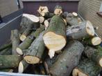 Kastanje kachelhout haardhout kastanjehout 2 kuub, Tuin en Terras, Haardhout, Minder dan 3 m³, Ophalen, Overige houtsoorten, Stammen