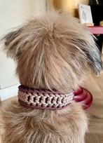 Halsband voor hond, Ophalen of Verzenden, Nieuw