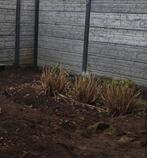 Zwarte grond / zwart zand, Tuin en Terras, Zand, Ophalen of Verzenden, Zo goed als nieuw, Overige typen