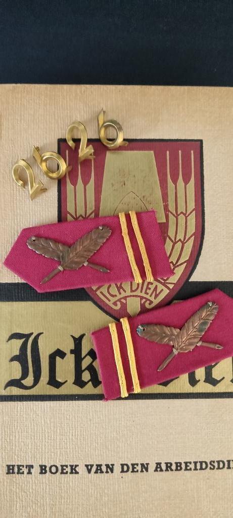 Nederlandsche Arbeids Dienst NAD, Verzamelen, Militaria | Tweede Wereldoorlog, Landmacht, Embleem of Badge, Nederland, Verzenden