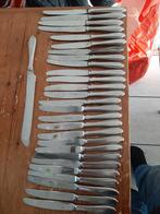 Messen puntfilet . Roestvrijstaal 48 messe en 2 brood messen, Ophalen of Verzenden