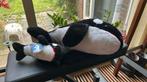 Orka knuffels SeaWorld Florida groot en klein, Ophalen of Verzenden, Zo goed als nieuw, Overige typen
