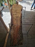 Mooie boomstam plank / schaaldeel 240cm, Nieuw, 250 cm of meer, Ophalen, Planken