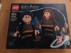 Lego 76393 Harry Potter & Hermelien - Nieuw & Geseald!, Ophalen, Nieuw, Complete set, Lego
