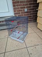 vogelkooitje, Ophalen of Verzenden, Zo goed als nieuw, Minder dan 75 cm, Minder dan 60 cm