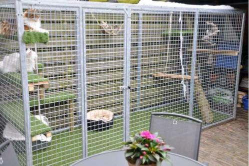 Kattenren B=480 x D=180 x H= 180cm gegalvaniseerd, Dieren en Toebehoren, Katten-accessoires, Ophalen of Verzenden