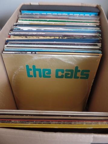 LP's 60 stuks ROCK POP SCHLAGER VERZAMEL beschikbaar voor biedingen