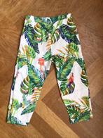 Leuke zomer broek MEXX 128, Meisje, Gebruikt, Ophalen of Verzenden, Broek