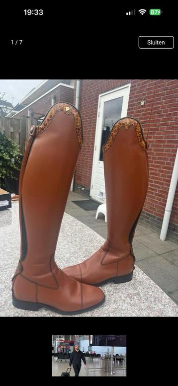 Nieuwste model Petrie paardrijlaarzen  beschikbaar voor biedingen