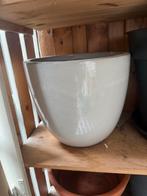 Grote witte bloempot, Tuin en Terras, Bloempotten, Ophalen, 40 cm of meer, Rond, Binnen